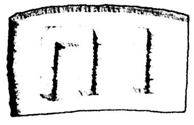 Рис. 6.1. Рельефные фигуры, напоминающие буквы, которые были обнаружены внутри мраморной плиты, извлеченной с глубины 60 – 70 футов в каменоломне неподалеку от Филадельфии, штат Пенсильвания.